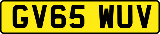 GV65WUV