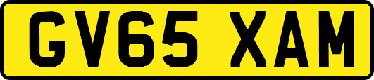 GV65XAM