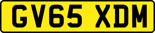 GV65XDM