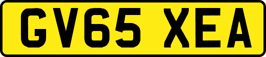 GV65XEA
