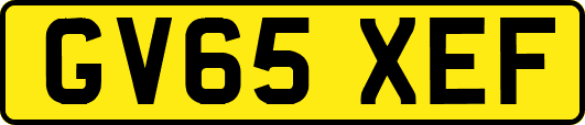 GV65XEF