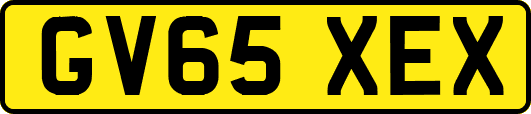 GV65XEX