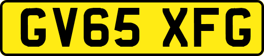 GV65XFG