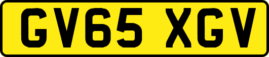 GV65XGV