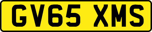 GV65XMS