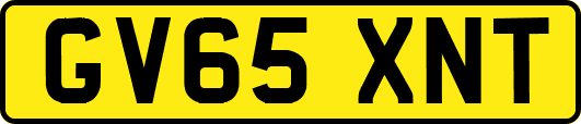 GV65XNT