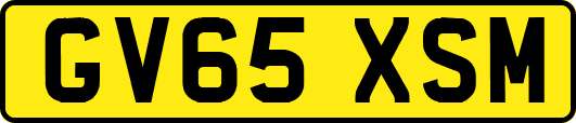 GV65XSM