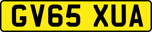 GV65XUA