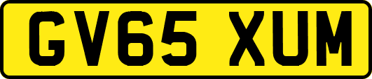 GV65XUM