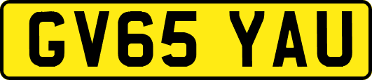 GV65YAU