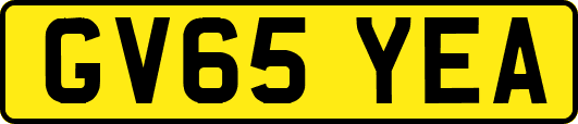 GV65YEA