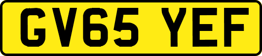 GV65YEF