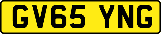 GV65YNG