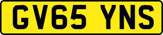 GV65YNS