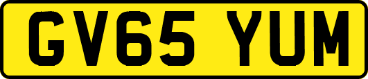 GV65YUM