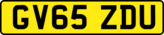 GV65ZDU