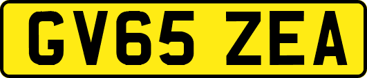GV65ZEA