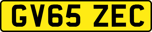 GV65ZEC