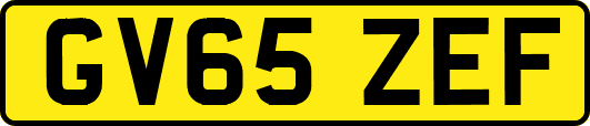 GV65ZEF
