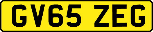 GV65ZEG