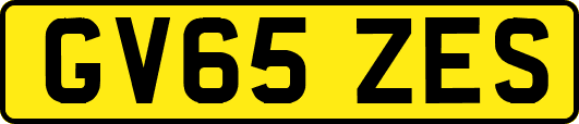 GV65ZES