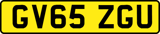 GV65ZGU