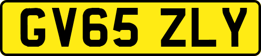 GV65ZLY