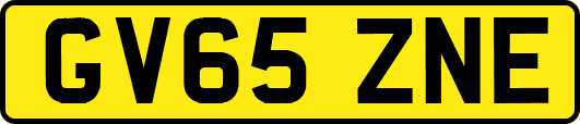 GV65ZNE