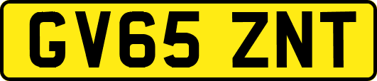 GV65ZNT