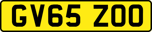 GV65ZOO
