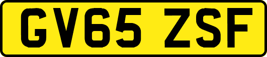 GV65ZSF