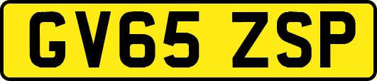 GV65ZSP