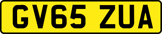 GV65ZUA