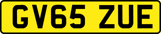 GV65ZUE