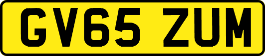 GV65ZUM