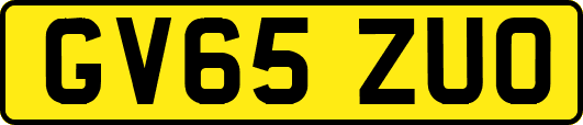 GV65ZUO
