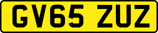 GV65ZUZ