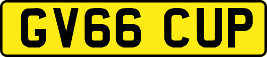GV66CUP