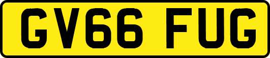 GV66FUG