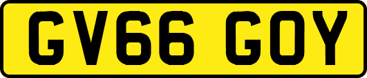 GV66GOY