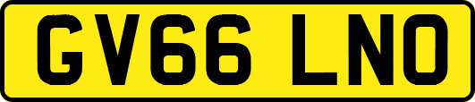 GV66LNO
