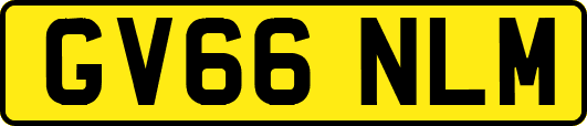 GV66NLM