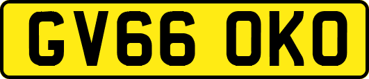 GV66OKO