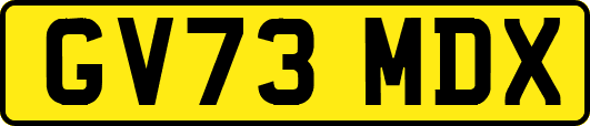 GV73MDX