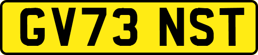 GV73NST