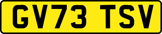 GV73TSV