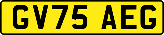 GV75AEG
