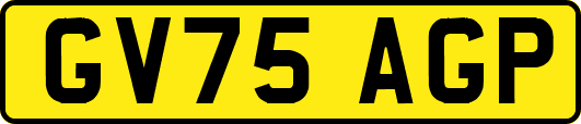 GV75AGP