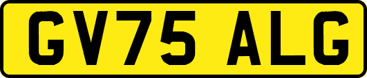 GV75ALG