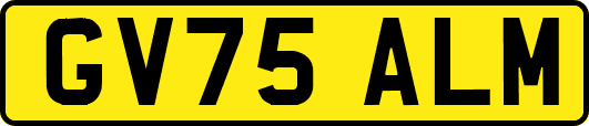 GV75ALM